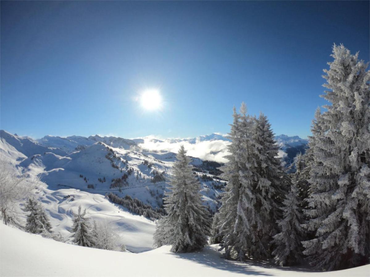Chalet Aventure B&B Les Gets Eksteriør bilde