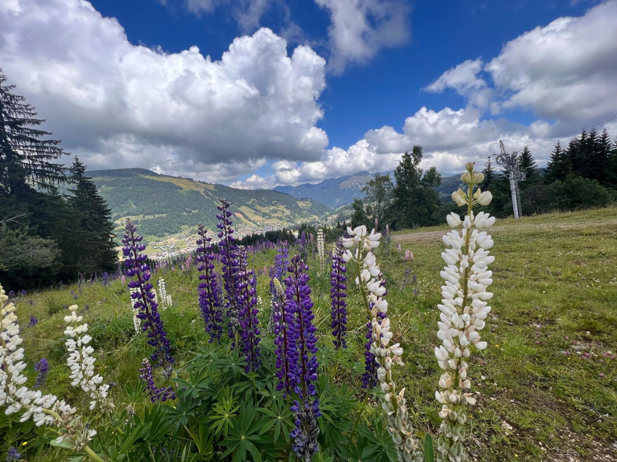 Chalet Aventure B&B Les Gets Eksteriør bilde